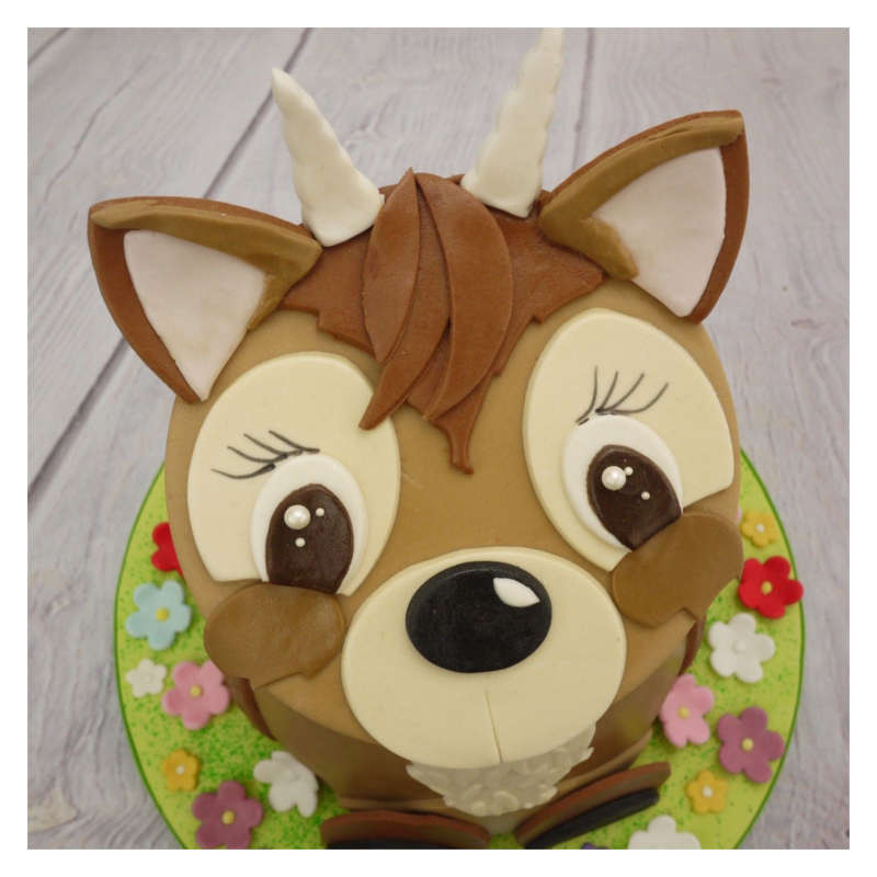FMM - Mix and Match Animal Faces - Large - Shaped Sugarcraft Icing Cutter