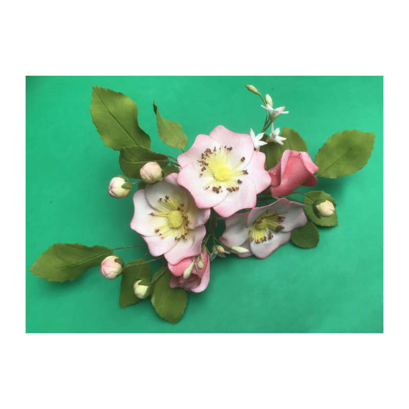 FMM Wild Rose Cake Decorating Sugarcraft Icing Petal Shaped Cutter Tool Set