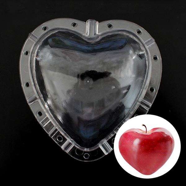 Heart-shaped Fruits Shaping Mold Garden Apple Pear Peach Growth Forming Mold To