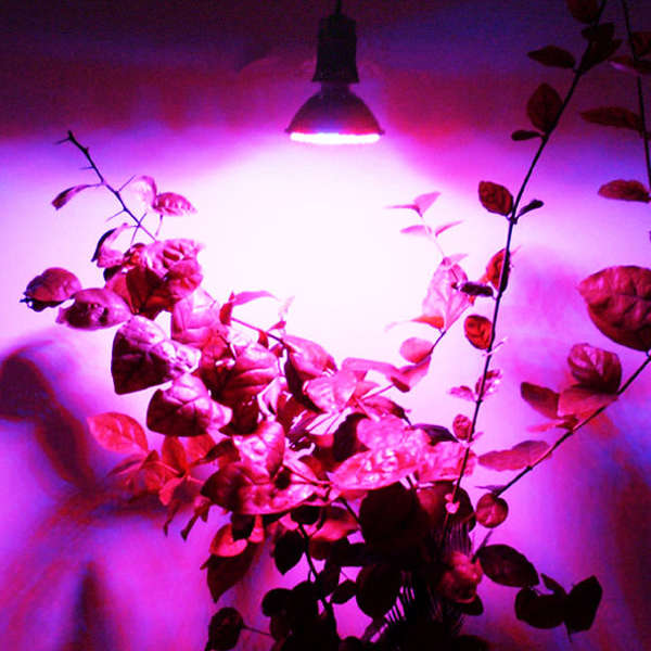 E27 3.8W 80 LED Grow Light Plant Lamp Hydroponic AC 110/220V