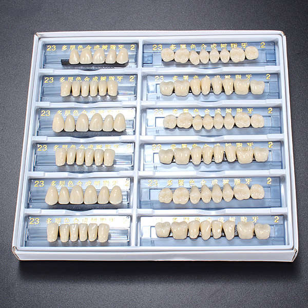 Acrylic Resin Denture Dental Teeth Shade A2 in An Red Box Oral Care