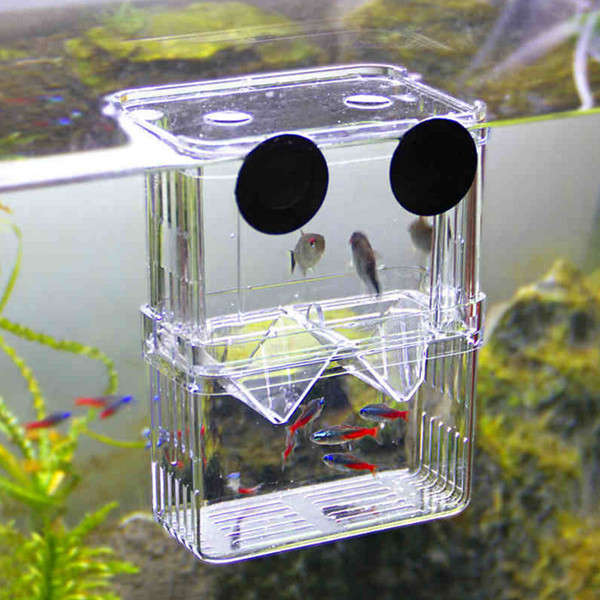 Aquarium Fish Breeding Hatchery Young Fish Incubator Isolation Box