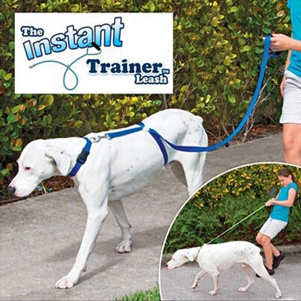 Instant Trainer Dog Leash 30 Lbs Stop Pulling Dog Walk