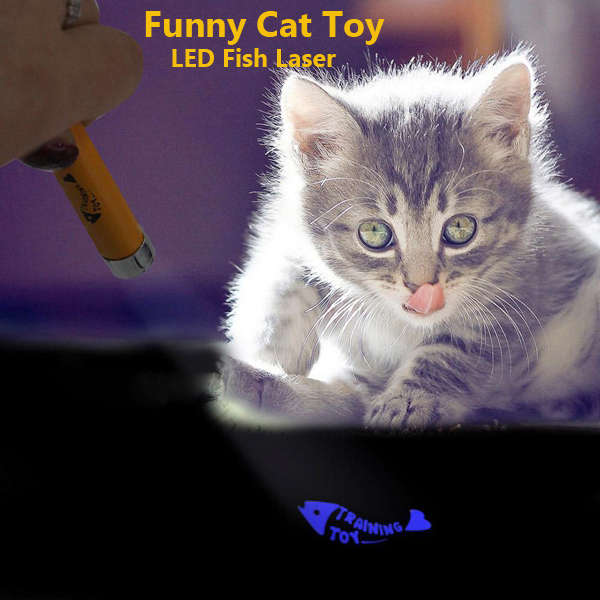 Pet Funny Cat Toy LED Laser Pointer Light With Bright Fish Animation