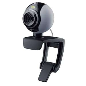 Logitech C250 Webcam (Grey)