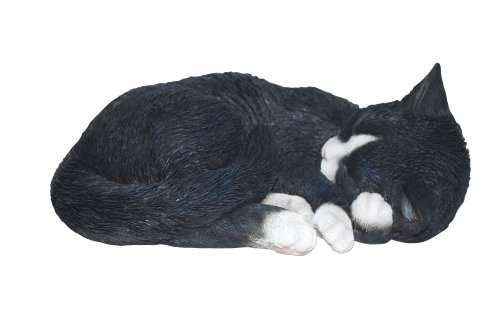Vivid Arts Size B Real life Sleeping Cat - Black/ White
