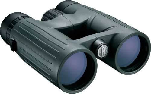 Bushnell Excursion HD Roof Prism Binocular, 8x 42mm, Euro Green