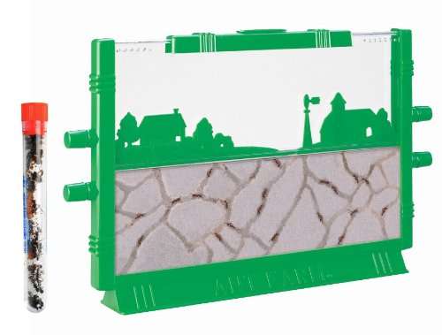 Live Ant Farm Shipped with 25 Live Ants NOW (1 Tube of Ants) Gift for Kids