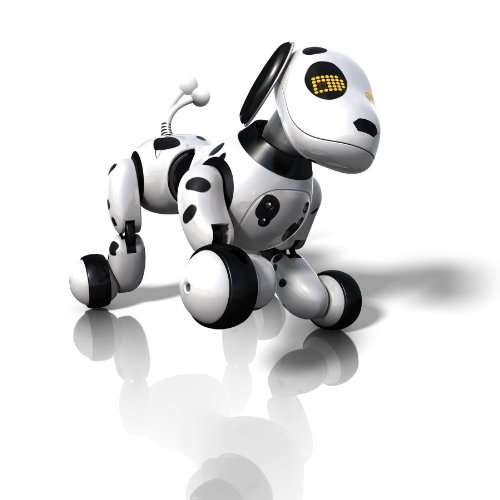 Zoomer