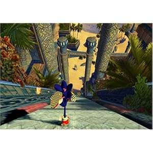 Sonic and the Secret Rings (Wii)
