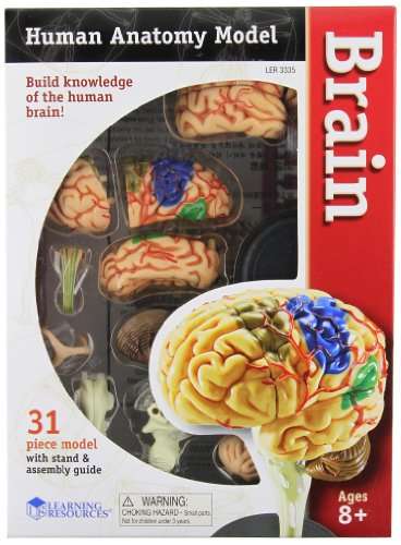 Learning Resources Brain Model