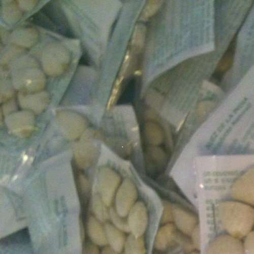 Nuez de La India 100% Original Authentic Indian Nut Weight Loss - 3 Pack of 12 Seeds (Total of 36 Se