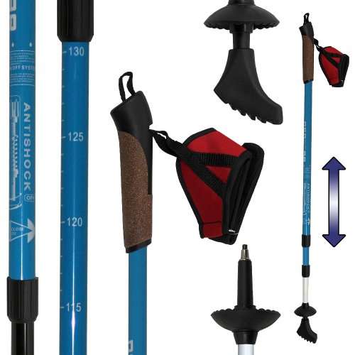Denqbar Nordic Walking poles with anti-shock blue