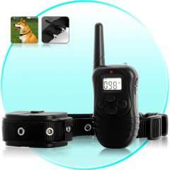 Pet Dog Training Color