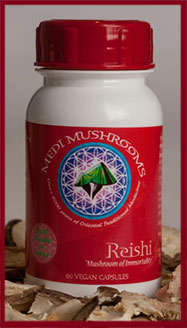 Medi Mushrooms Reishi