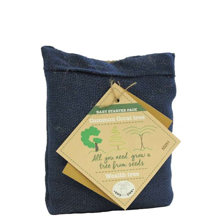 Tatty Teddy - Interactive Storytime Bear