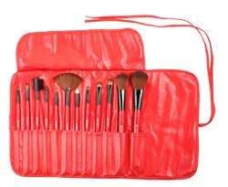 SHANY Professional 13-Piece Cosmetic Brush Set with Pouch Product Shot