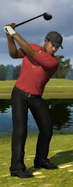 Take a swing with Tiger