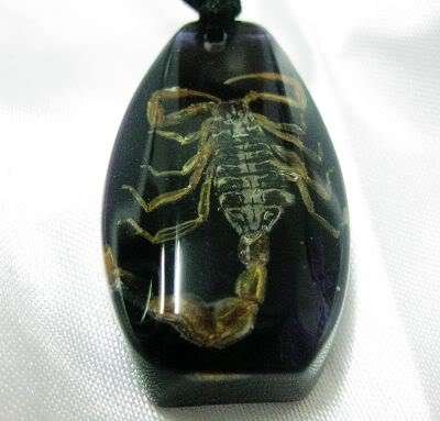 RARE TIBETiAN BLACK KiNG SCORPIAN AMBER COLORED LUCKY NECKLACE PENDANT * R1 No Res Saver Auction *