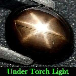 1.26 Ct.**Amazing Natural Black 6 Ray Star Sapphire Gemstone - 100% Natural and Untreated.