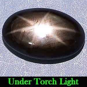 AAA 1.33Ct.  Natural Black 6 Ray Star Sapphire Gemstone - 100% Natural and Untreated.