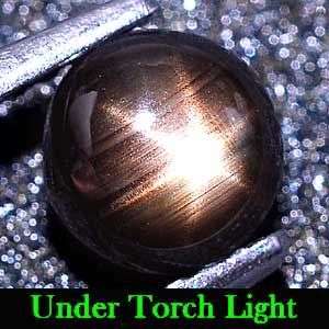 1.12 Ct.**(5.60mm) Natural Black 6 Ray Star Sapphire Gemstone - 100% Natural and Untreated.