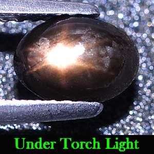 1.41 Ct. Natural Black 6 Ray Star Sapphire Gemstone - 100% Natural and Untreated.