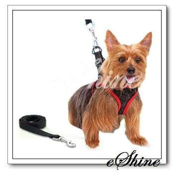Small Comfy Control Dog Harness Leash