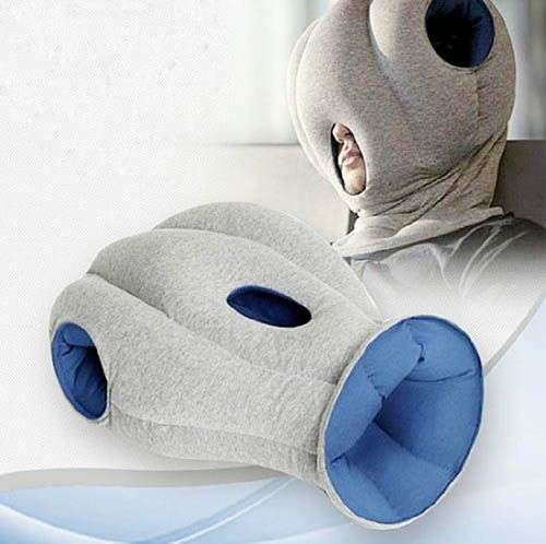 *LOCAL STOCK* Amazing hot ostrich Travel Office Neck pillow nap pillow soft
