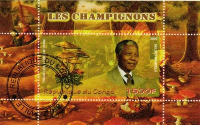 Congo - 2009 - N.Mandela - Mushrooms