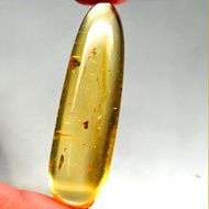 Exquisite! 12.43 Ct Natural  Amber Cabochon ( many insects inside!!) - A must have!