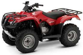 Honda Fourtrax TRX 300 (1995 to 2000) service repair manual (E-book)