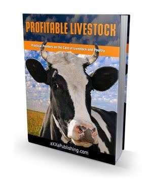 Profitable Livestock - Ebook (Free download)