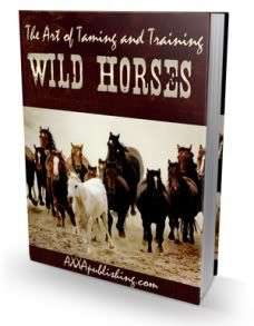 The Art of Taming and Training Wild Horses - Ebook (Free download)