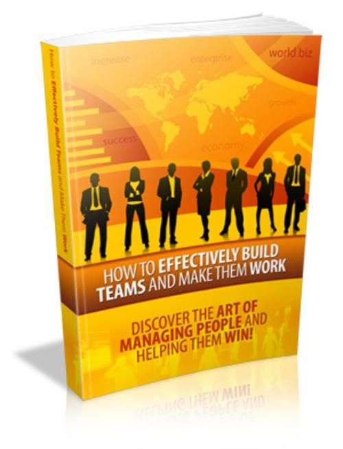 How to Effectively Build Teams and Make Them Work - Ebook
