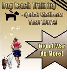 Dog leash training - Ebook (Free download)