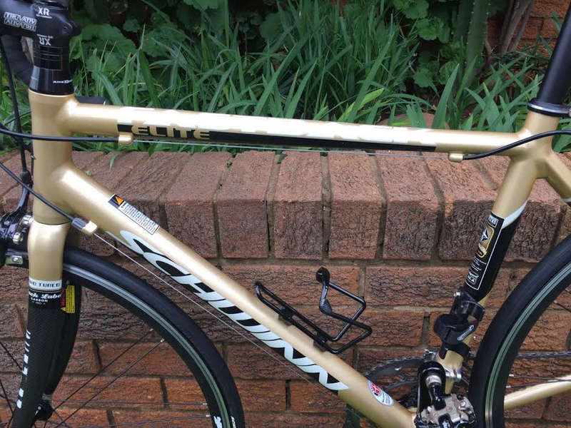 Schwinn Fastback Elite Women's Bicycle