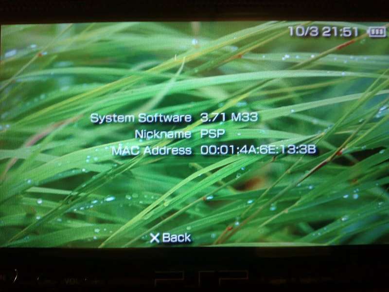 03102007127.jpg picture by JPCK
