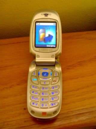 Samsung E300 Camera Phone