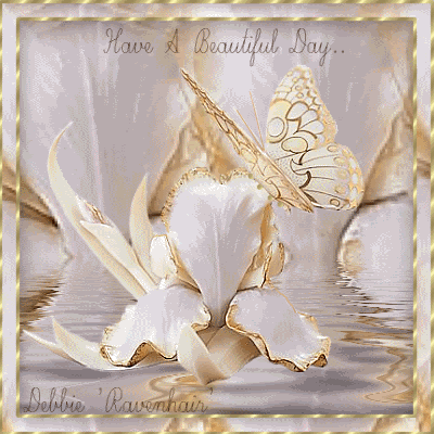have a beautiful day butterfly