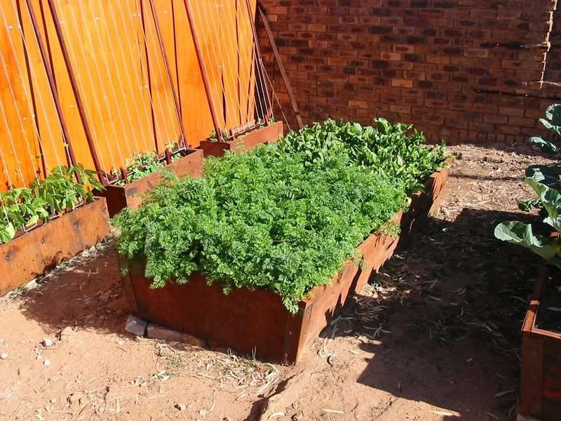 Organic Veggie Planters