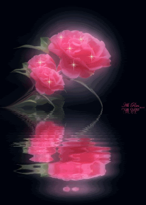 MySpace and Orkut Rose Glitter Graphic - 4