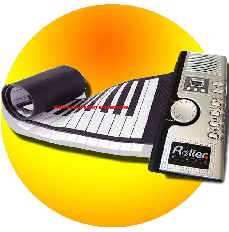 ROLL UP KEYBOARD PIANO FREE POUCH & BATTERIES INCL