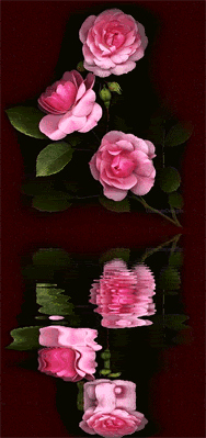 Flowers Glitter Graphics