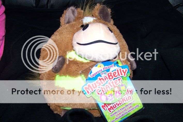 MushaBelly - Chatter- pony