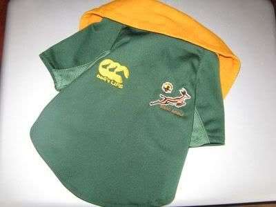 Springbok shirt
