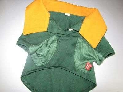 Springbok shirt