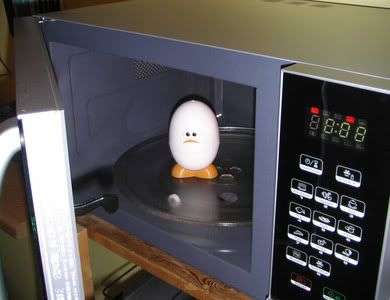 Boiley Egg Boiler