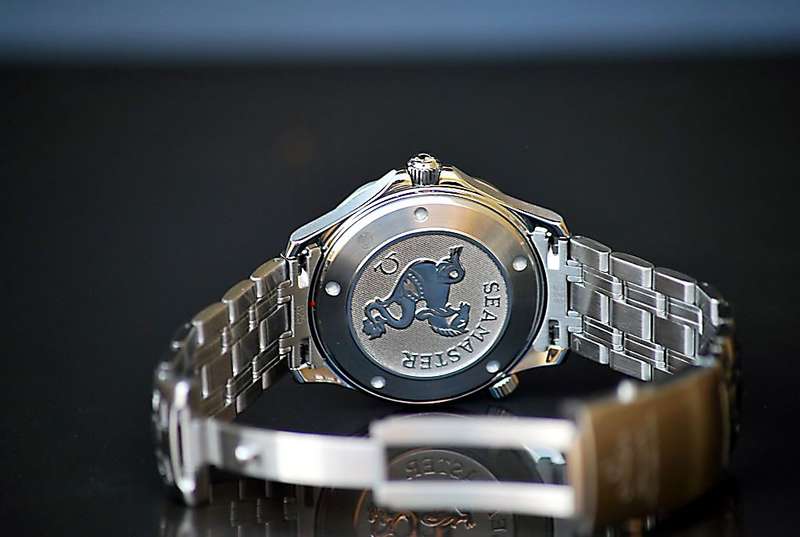 DSC_0683_edited.jpg picture by LuxurytimeSA