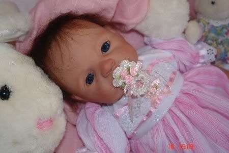 Reborn Baby Robin
